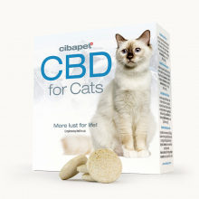 Pastile CBD pentru pisici