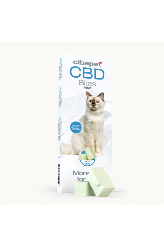 Recompense Pentru Pisici Cu CBD