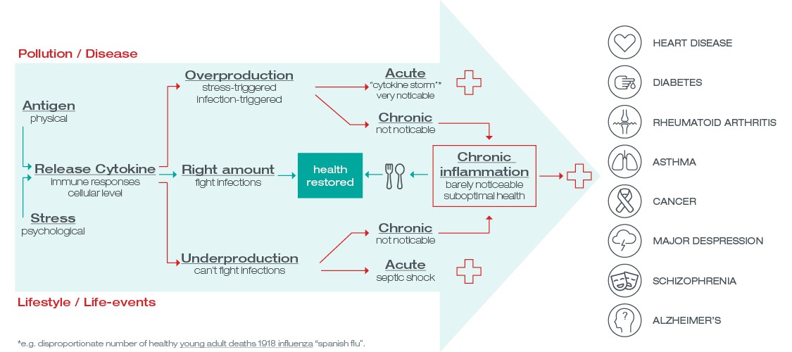 Infograficul inflamației cronice