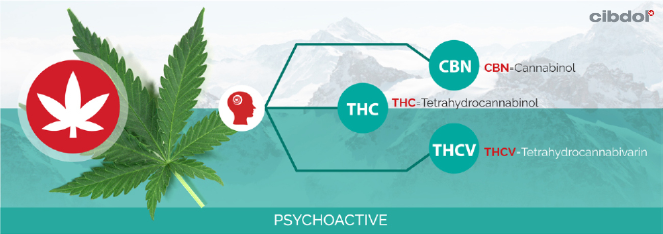 Ce este THC (Tetrahidrocanabinol)?