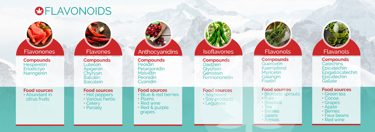 Exemple de flavonoide