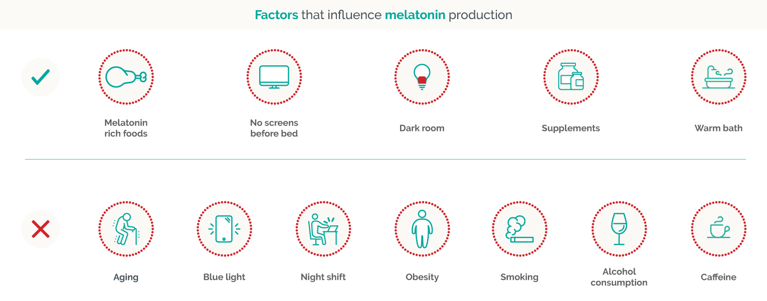 melatonin production infographic