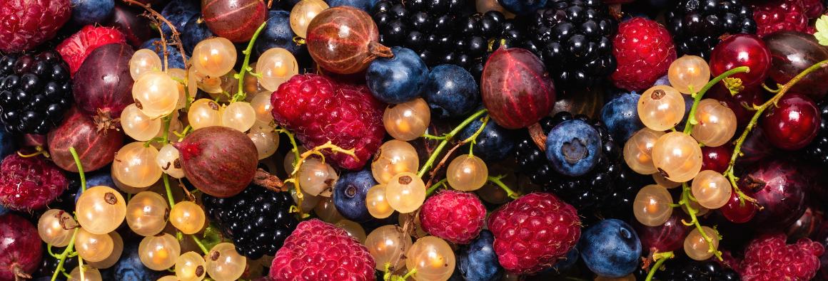 Ce fructe sunt foarte bogate în Omega-3?