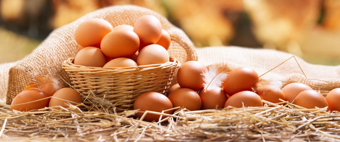 Cât de multe proteine este într-un ou?